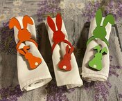 ALLACCIATOVAGLIOLO CONIGLIO COLOR